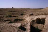 308 Babylone, E-Patulina