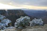 44 Gd Colorado Neige