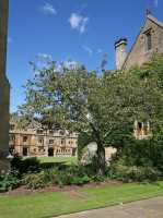 21 - Magdalen, Entrée