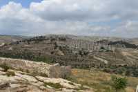 54 Le champ des bergers