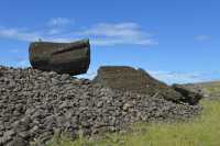 02 Faucon sur Hanga Tetenga
