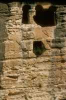 686 Bavian bas-relief - Sennachérib