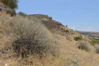 19 Colline derrière le monastère