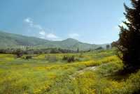 61 Château fort vu de Césarée