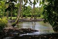 063 Jardin botanique de Motu Ovini