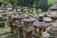 113 Kasuga (Temple Shinto) Lanternes