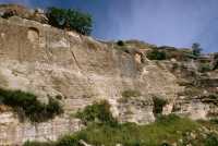 680 Bavian bas-reliefs