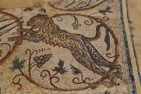 58  Pavement de la synagogue de Gaza