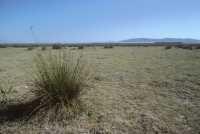 061 Derbé à Lystre