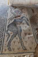 036 Maison du Nil - Mosaïque - Centaure et innscription (Dieu secourable)