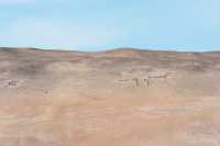 15 Vallée du Lluta - Géoglyphes