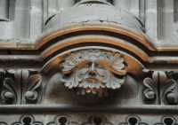 32 Nef (2° travée - Sud) Barbe fleurie