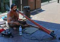 085 Joueur de Didjeridoo
