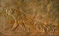 651 Les chasses du roi Assurbanipal