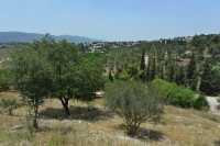 71 Beth-Shearim - Paysage