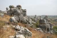 029 Pierres & champ *