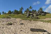 54 Elément d'une maison bateau