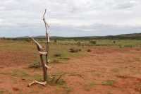 18 Art aborigène -  Mereenie Loop Road