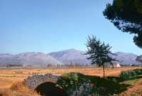 506 Entre le Forum d'Appius et Anxur