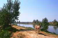 514 Entre le Forum d'Appius et les 3 Tavernes