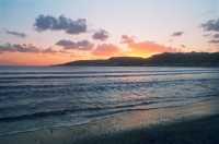 290 Mellieha Bay le Matin