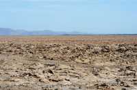 038 Désert salé