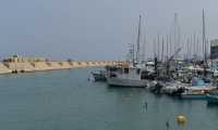 12 Vieux port de Jaffa