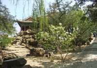 15 Temple du roi dragon