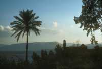 207 Confession de Pierre