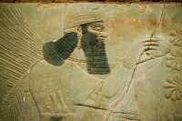 520 Nimrud - génie ailé bénissant un arbre sacré