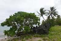 135 Marae Opu Teina (Taputapuatea)