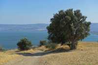 16 Lac de Tibériade vu du mont des Béatitudes