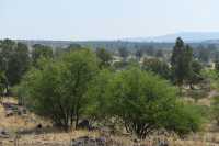 02 Plaine, autrefois inondée par le lac, vue de Bethsaïde