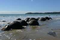 35 Boulders de Moeraki