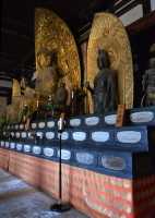 019 Kofuku-ji (Karikon-do - Buddha)