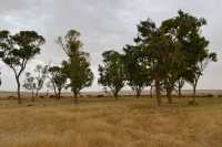 02 Désert près de Shivta