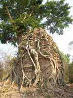 51-Prasat Yeay Peau **