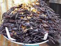 07-Plat d'araignées