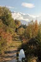 56 Vers Pierre Blanche