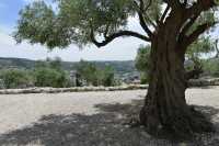 10 Abu Gosh - Qiryat Yearim - Couvent des sœurs St Joseph de l'Apparition