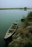 275 (L’Euphrate près de Ur et Eridu  (banlieue de Nasiriah).)