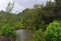 13 Palétuviers - Est de Tahaa