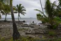 11 Côte est de Tahaa