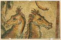 56 - Chevaux de Neptune