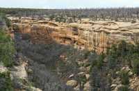 102 Canyon & New fire