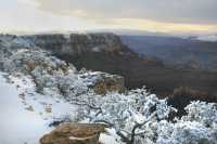 41 Gd Colorado Neige