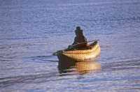 318 Barque de roseaux