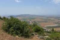 43 Sur les pentes du Mont Thabor