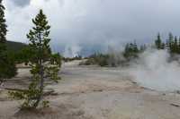 12 Norris Geyser Basin B