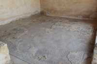 041 Maison du Nil - Mosaïque